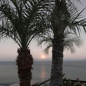 Meet your Posher, Christi